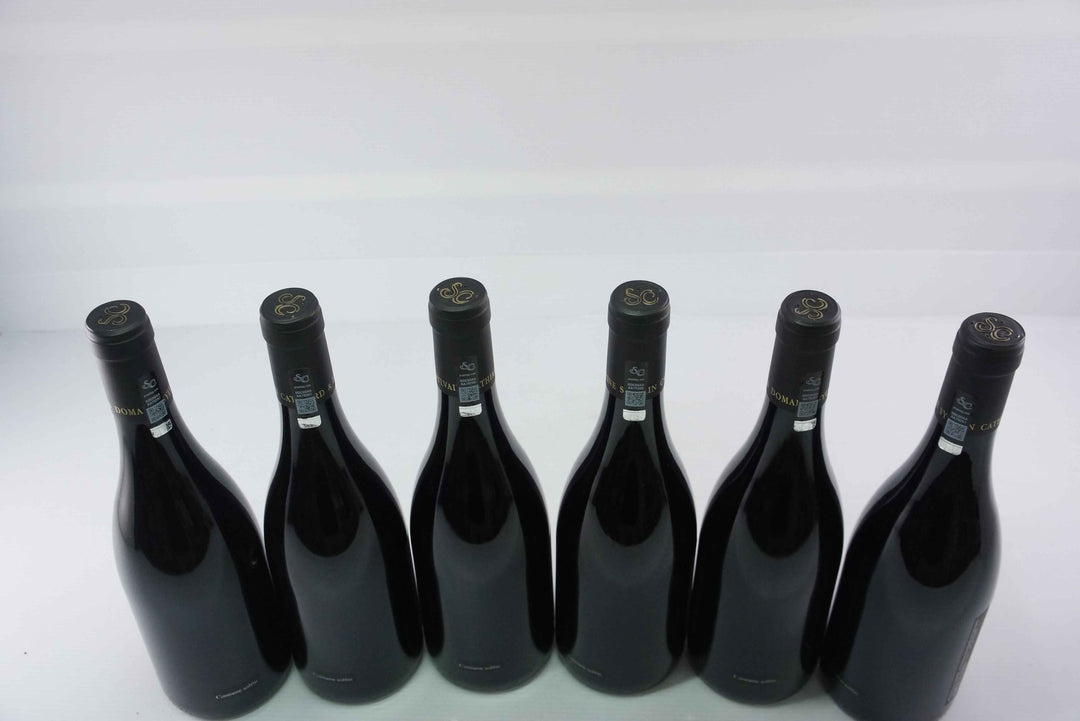 Sylvain Cathiard Nuits Saint Georges Aux Thorey 1er Cru 2015