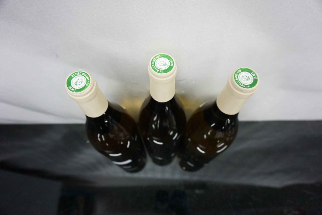 Paul Pernot Batard Montrachet Grand Cru 2008