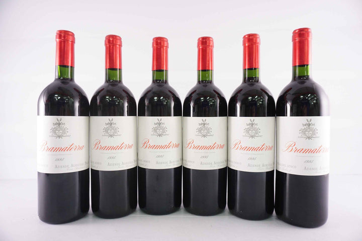 Tenuta Agricola Sella Bramaterra 1995