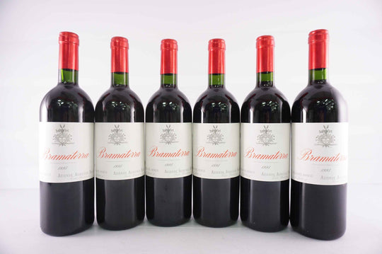Tenuta Agricola Sella Bramaterra 1995