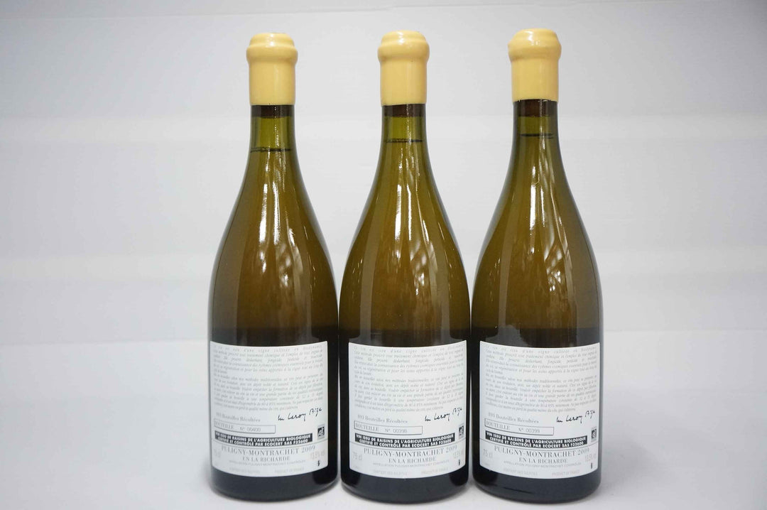 d'Auvenay Puligny Montrachet En La Richarde OWC 2009