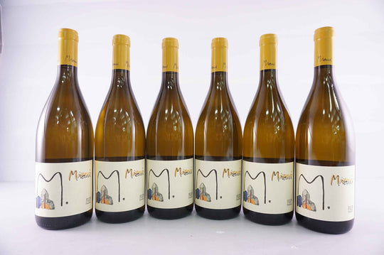 Miani Filip Friulano 2016