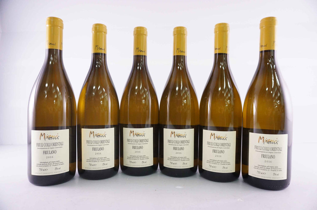 Miani Filip Friulano 2016