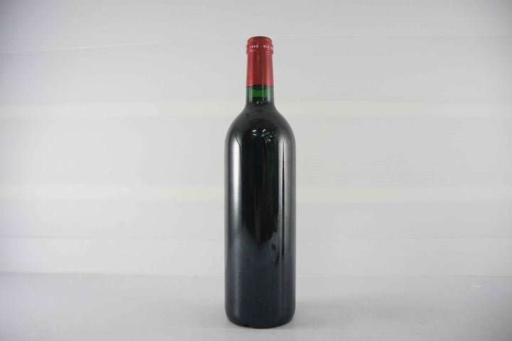 Petrus 1998