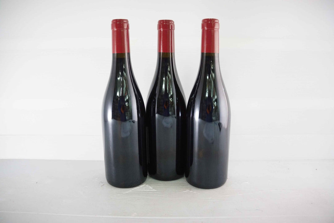 Georges Noellat Nuits St Georges Aux Boudots 1er Cru 2016