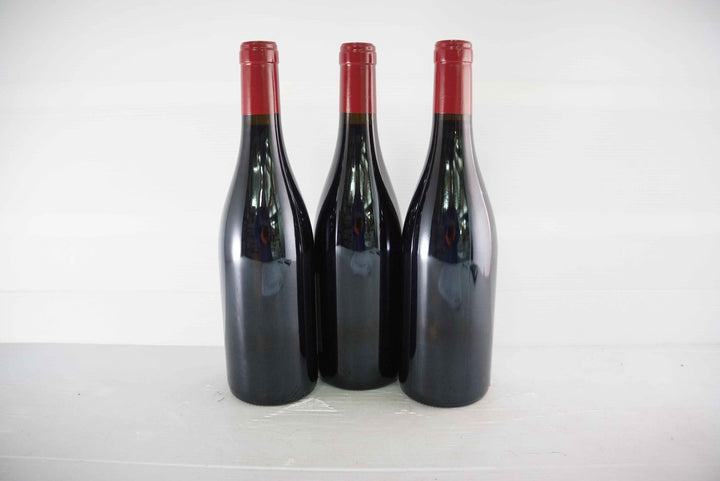 Georges Noellat Nuits St Georges Aux Boudots 1er Cru 2016