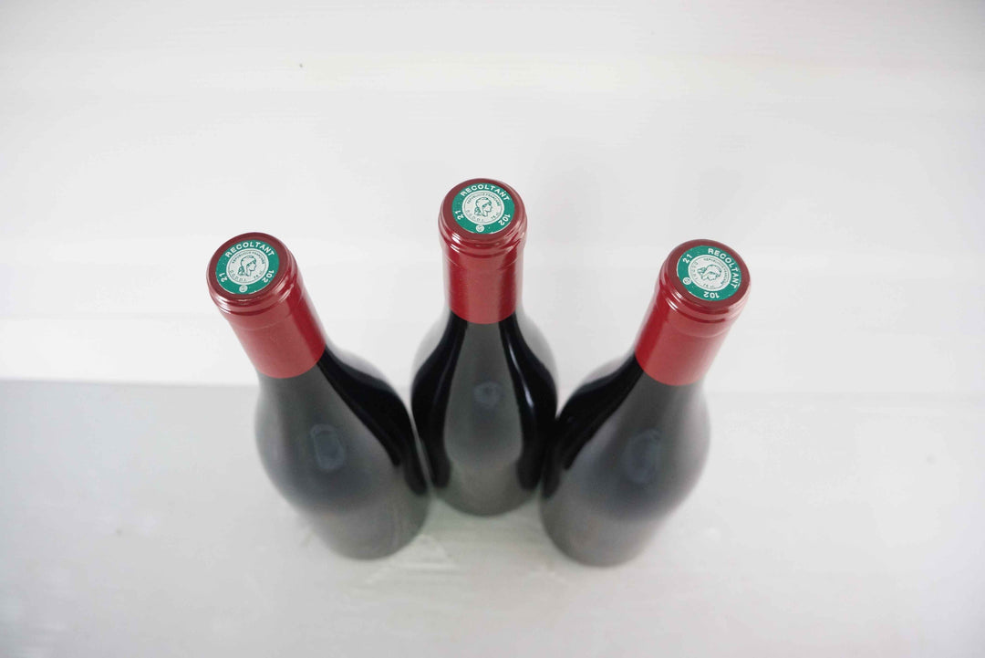 Georges Noellat Nuits St Georges Aux Boudots 1er Cru 2016