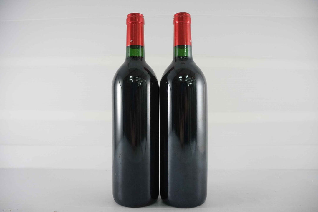 Petrus 1992