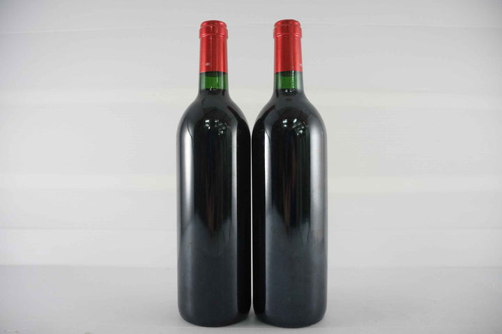 Petrus 1992