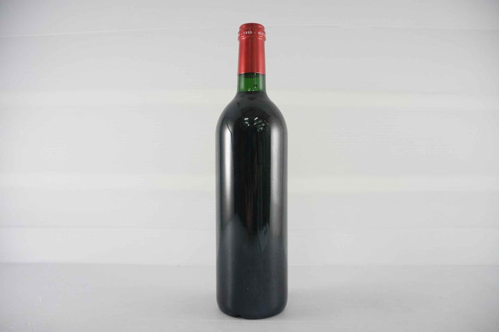 Petrus 1996