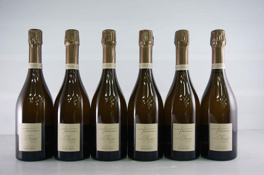 Nathalie Falmet Cuvee Terra Blanc de Blanc 2012