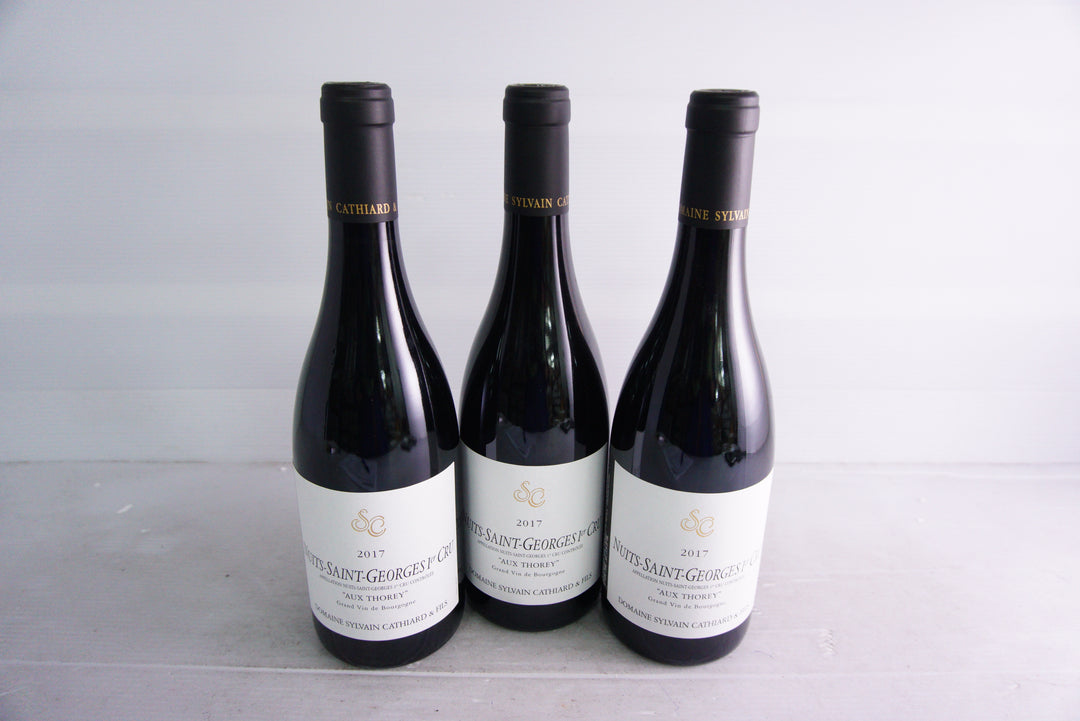 Sylvain Cathiard Nuits St Georges Aux Thorey 1er Cru 2017