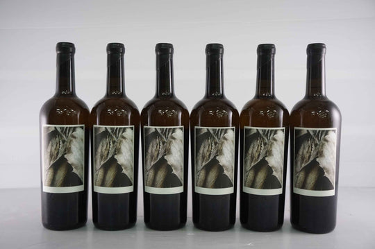 Sine Qua Non Resiste 2013