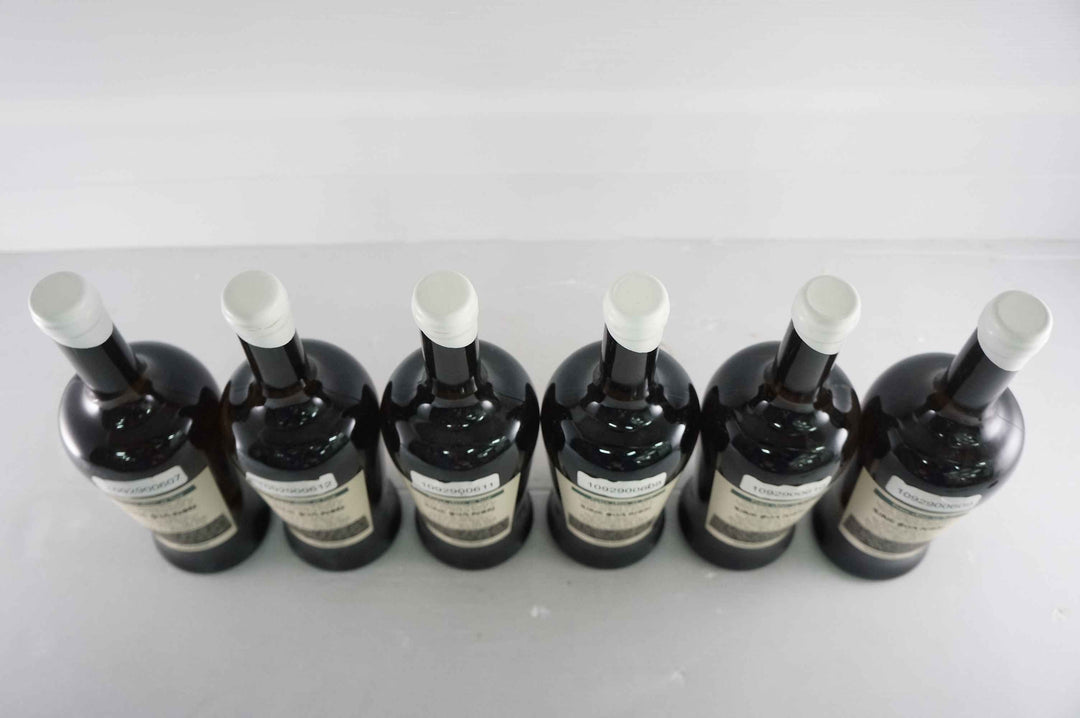 Sine Qua Non Entre Chien et Loup 2015