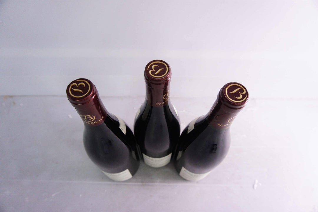 Henri Jouan Gevrey Chambertin Aux Echezeaux VV 2016