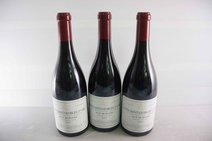 Sylvain Cathiard Nuits Saint Georges Aux Murgers 1er Cru 2007