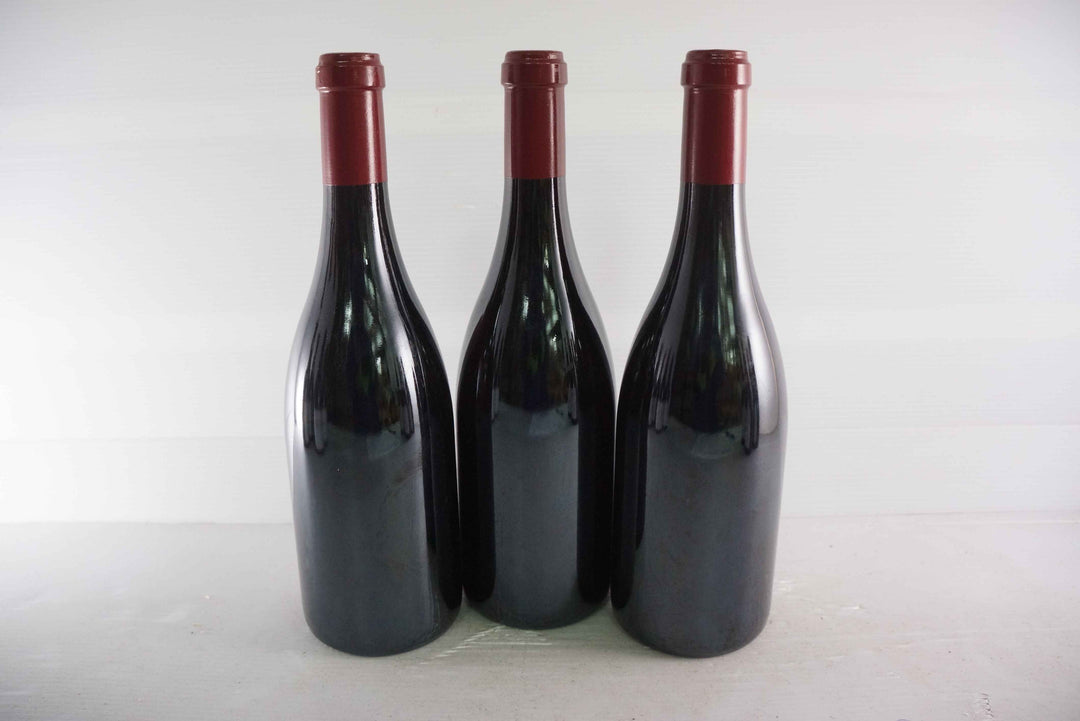 Sylvain Cathiard Nuits Saint Georges Aux Murgers 1er Cru 2007