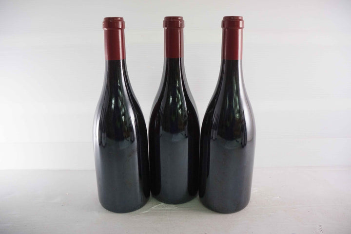 Sylvain Cathiard Nuits Saint Georges Aux Murgers 1er Cru 2007