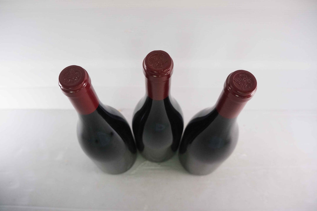 Sylvain Cathiard Nuits Saint Georges Aux Murgers 1er Cru 2007