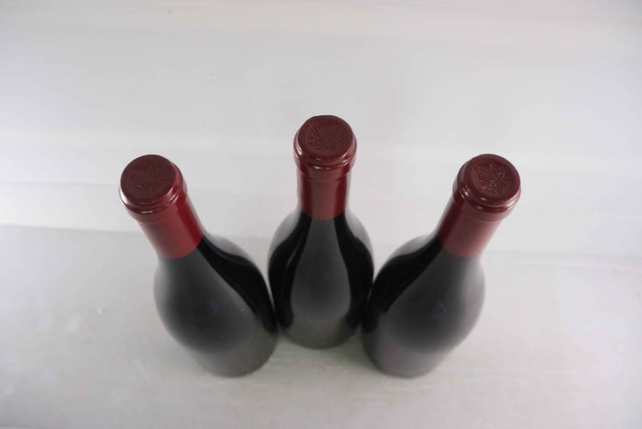 Sylvain Cathiard Vosne Romanee Les Suchots 1er Cru 2008