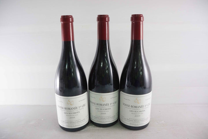 Sylvain Cathiard Vosne Romanee Les Suchots 1er Cru 2009