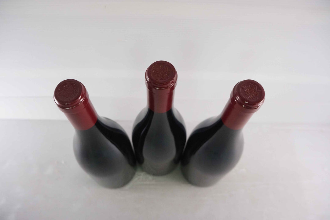 Sylvain Cathiard Vosne Romanee Les Suchots 1er Cru 2009