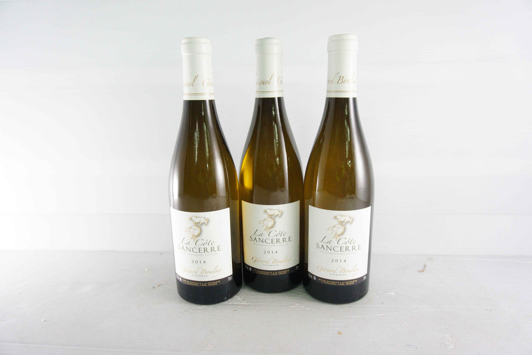 Gerard Boulay Sancerre Le Cote 2014