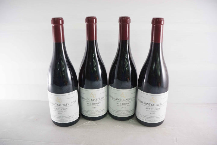 Sylvain Cathiard Nuits Saint Georges Aux Thorey 1er Cru 2010