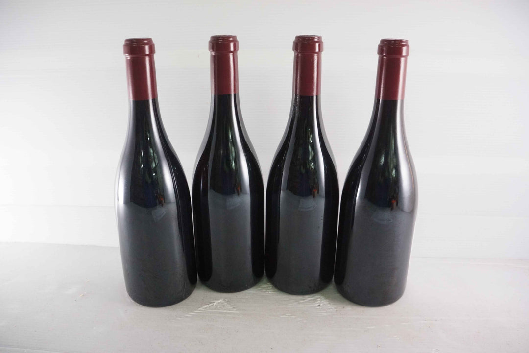 Sylvain Cathiard Nuits Saint Georges Aux Thorey 1er Cru 2010