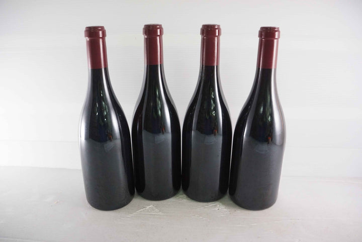 Sylvain Cathiard Nuits Saint Georges Aux Thorey 1er Cru 2010