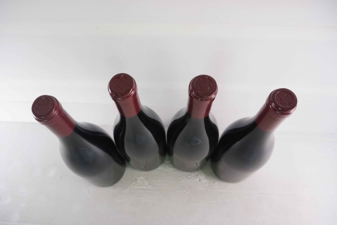 Sylvain Cathiard Nuits Saint Georges Aux Thorey 1er Cru 2010