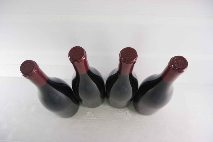 Sylvain Cathiard Nuits Saint Georges Aux Thorey 1er Cru 2010