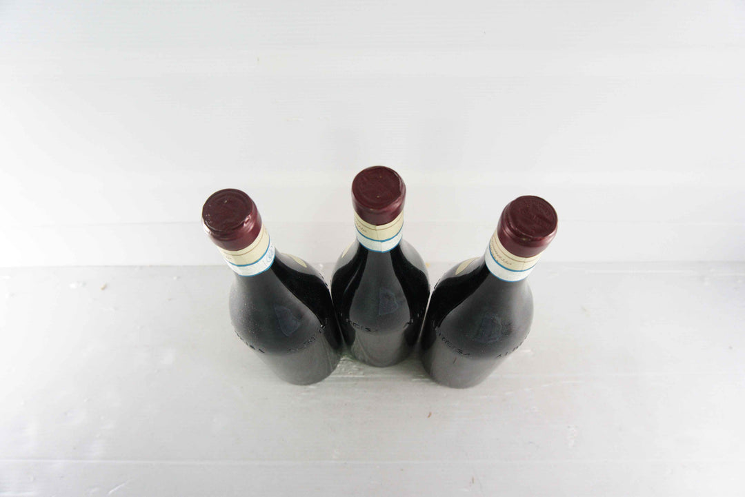 Lorenzo Accomasso Barbera d'Alba Pochi Filagn 2015