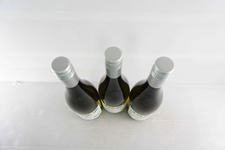 TerraVin All that Jazz Sauvignon Blanc 2011