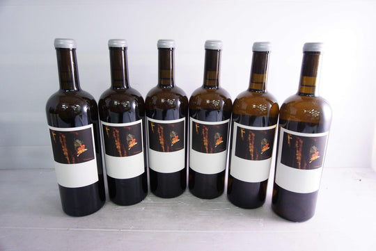 Sine Qua Non Tectumque  2017