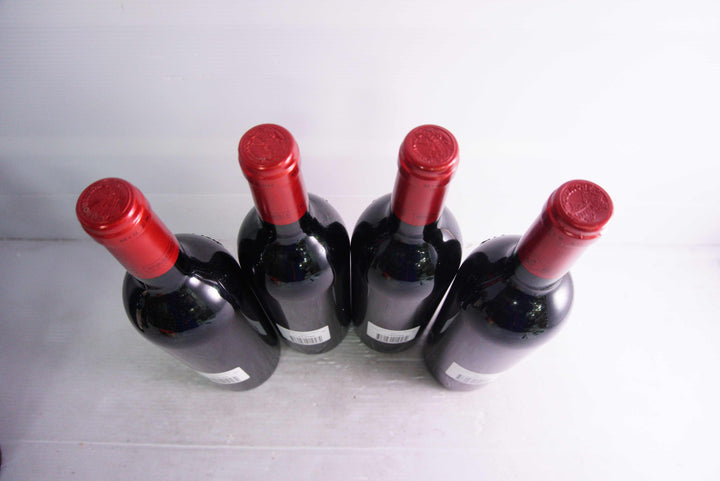 Petrus 2001