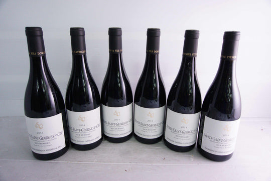 Sylvain Cathiard Nuits Saint Georges Aux Murgers 1er Cru 2014