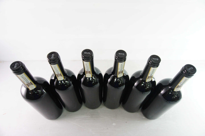 Gaja Barolo Sperss 2013