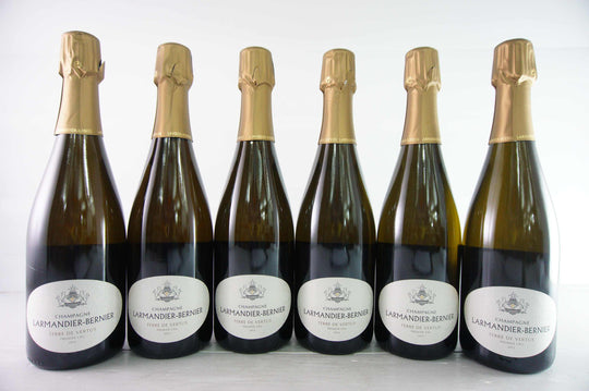 Larmandier Bernier Terre de Vertus 2013