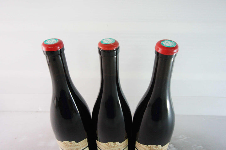 Ganevat Plein Sud Trousseau 2018