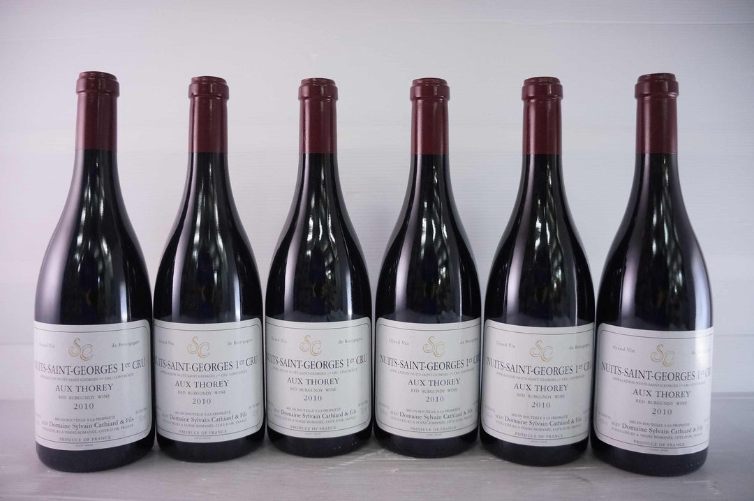 Sylvain Cathiard Nuits Saint Georges Aux Thorey 1er Cru 2010
