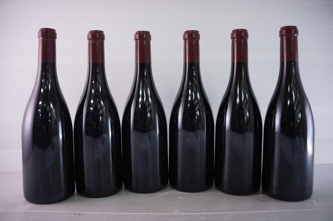 Sylvain Cathiard Nuits Saint Georges Aux Thorey 1er Cru 2010