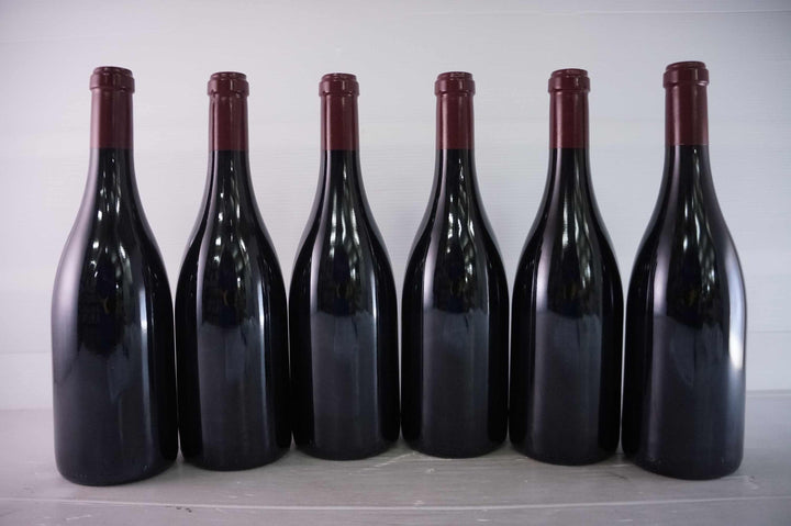 Sylvain Cathiard Nuits Saint Georges Aux Thorey 1er Cru 2010