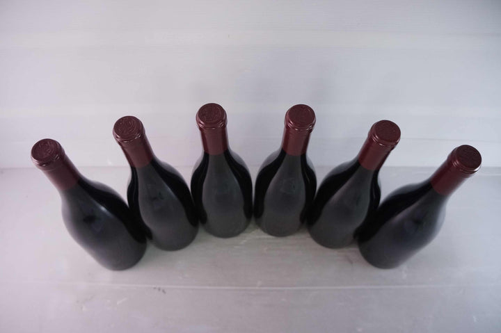 Sylvain Cathiard Nuits Saint Georges Aux Thorey 1er Cru 2010