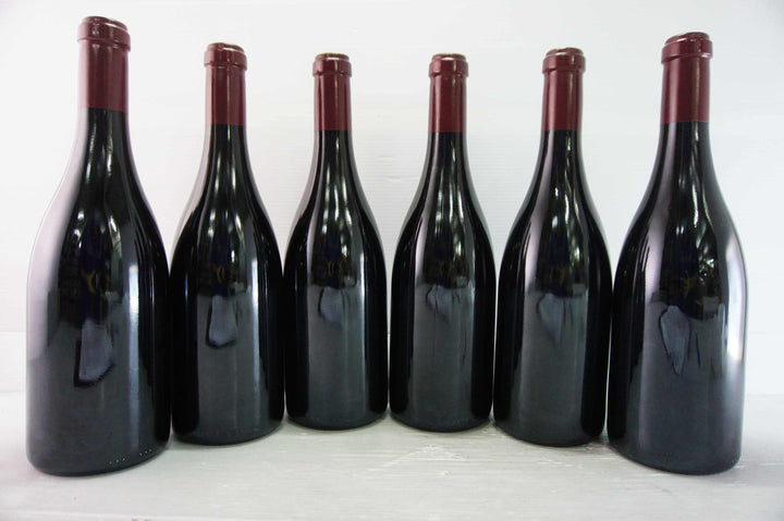 Sylvain Cathiard Nuits St Georges Aux Thorey 1er Cru 2010
