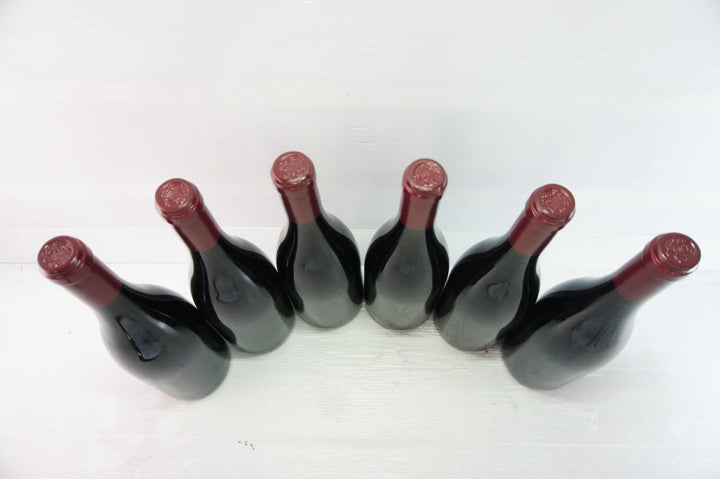 Sylvain Cathiard Nuits St Georges Aux Thorey 1er Cru 2010