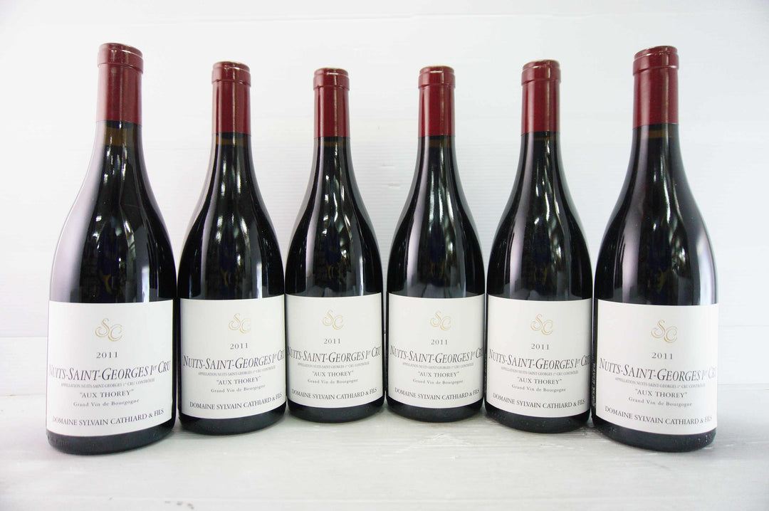 Sylvain Cathiard Nuits Saint Georges Aux Thorey 1er Cru 2011