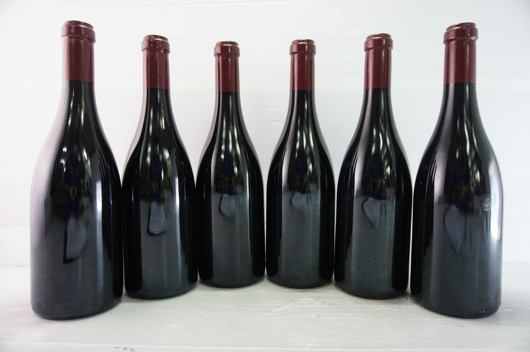 Sylvain Cathiard Nuits St Georges Aux Murgers 1er Cru 2010