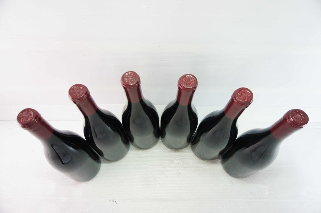 Sylvain Cathiard Nuits St Georges Aux Murgers 1er Cru 2010