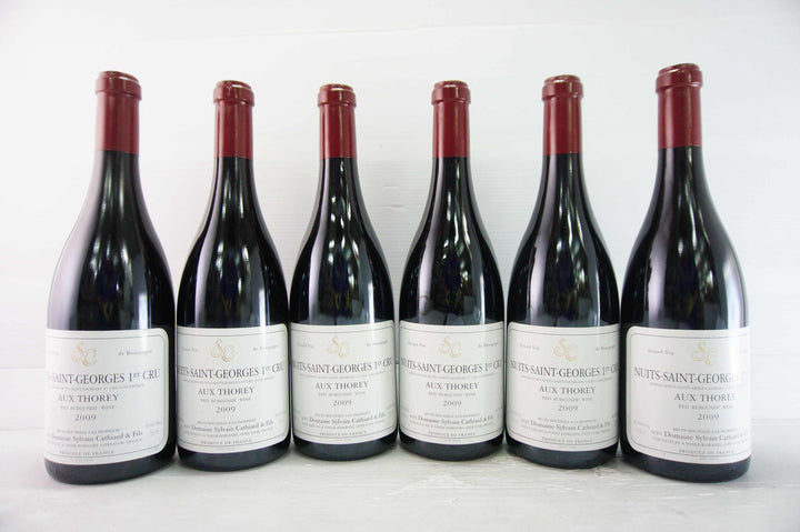 Sylvain Cathiard Nuits St Georges Aux Thorey 1er Cru 2009